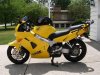 aIMGP6916 (Medium) - Copy.jpg