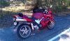 IMAG0337.jpg