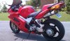 IMAG0512.jpg