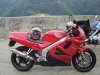 DSC04482.jpg