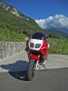 PICT0011x.jpg