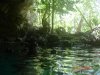 DSC03160.jpg