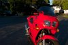 DSC_0905.jpg