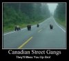 Canadian Pedestrians.jpg