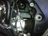 stainless_on_bike.jpg