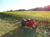 DSC02062.jpg