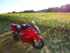 DSC02063.jpg