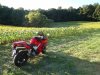 DSC02064.jpg