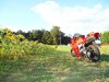 DSC02065.jpg