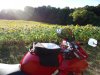 DSC02066.jpg