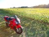 DSC02067.jpg