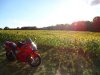 DSC02069.jpg