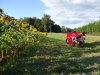 DSC02073.jpg