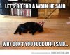 Tired Cat.jpg