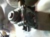i phone pictures.jpg