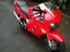 Iphone 3GS photos 485.jpg