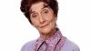 dot_branning_large_1 (2).jpg