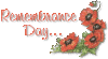 remembrance day poppy best.gif