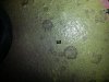 20130113_222834.jpg