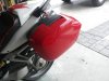IMGP1415.jpg