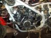 IMG_20130226_104947.jpg