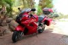 IMG_1281_1024x683.jpg
