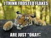 tiger.jpg