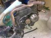 IMG-20120419-00002.jpg