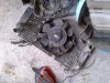 IMG-20120419-00003.jpg