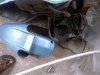 IMG-20120419-00007.jpg