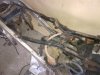 IMG-20120419-00011.jpg
