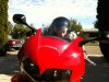 Racer Liam 1.jpg