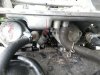 20130406_114231.jpg