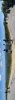 panorama.jpeg