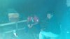IMG_20130525_211620_177.jpg