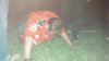 IMG_20130525_212923_454.jpg