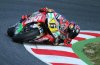 bradl.jpg