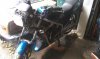 IMAG0117.jpg
