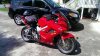 IMAG0142.jpg