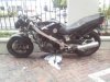 VFR Back from Urban  7 months later.jpg