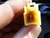 20130729_160933.jpg