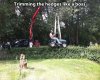 redneck-innovation-15.jpg