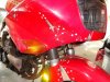 DSC00982.jpg