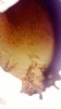 WP_20130819_003.jpg