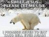 polar bear poo.jpg