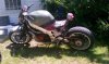 IMAG0097.jpg
