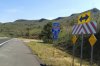 20130823_114229.jpg