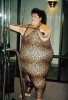 fatspandex.jpg