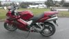 IMAG0095.jpg