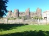 DSC_0459.jpg